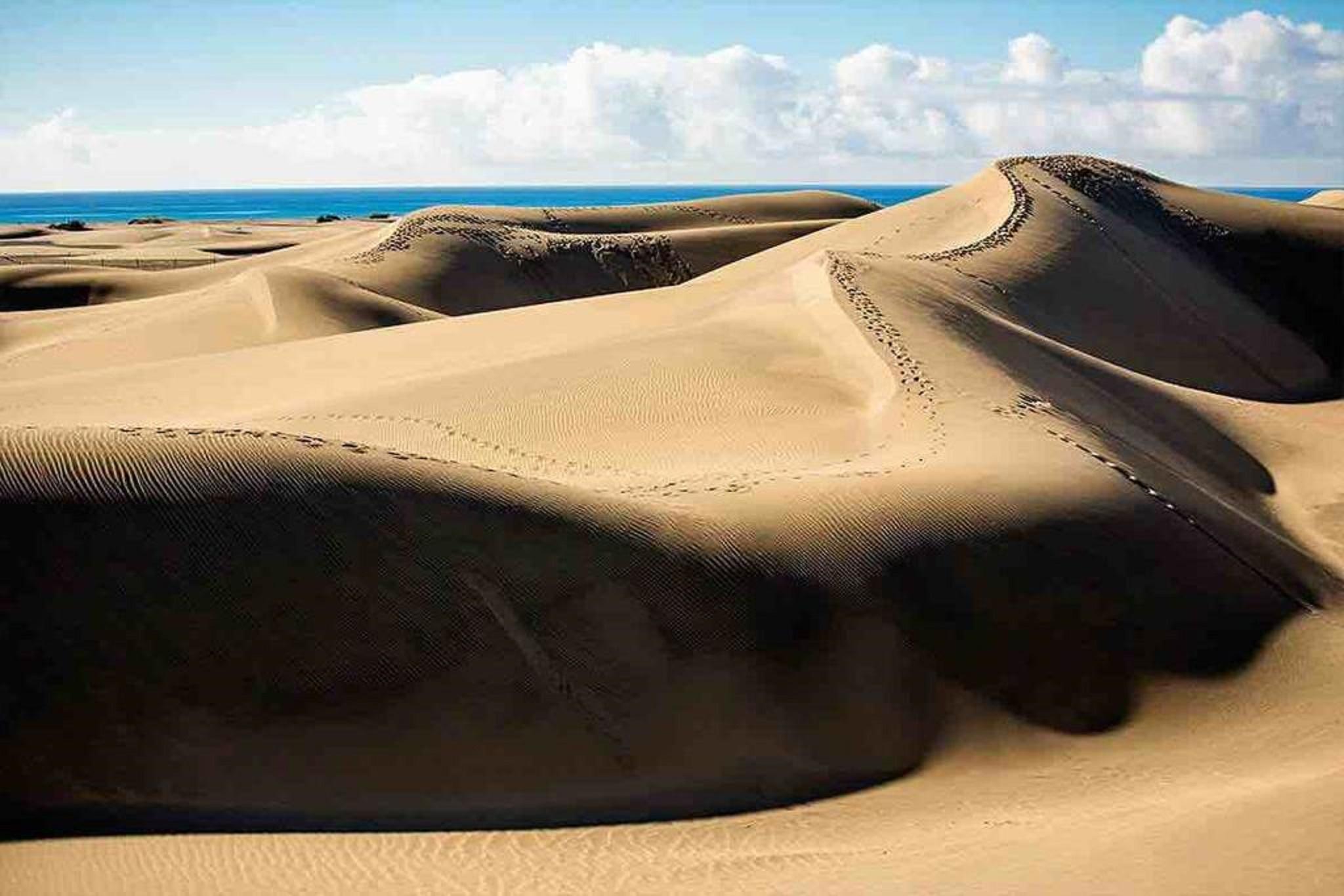 Canary Garden Club Maspalomas  Luaran gambar