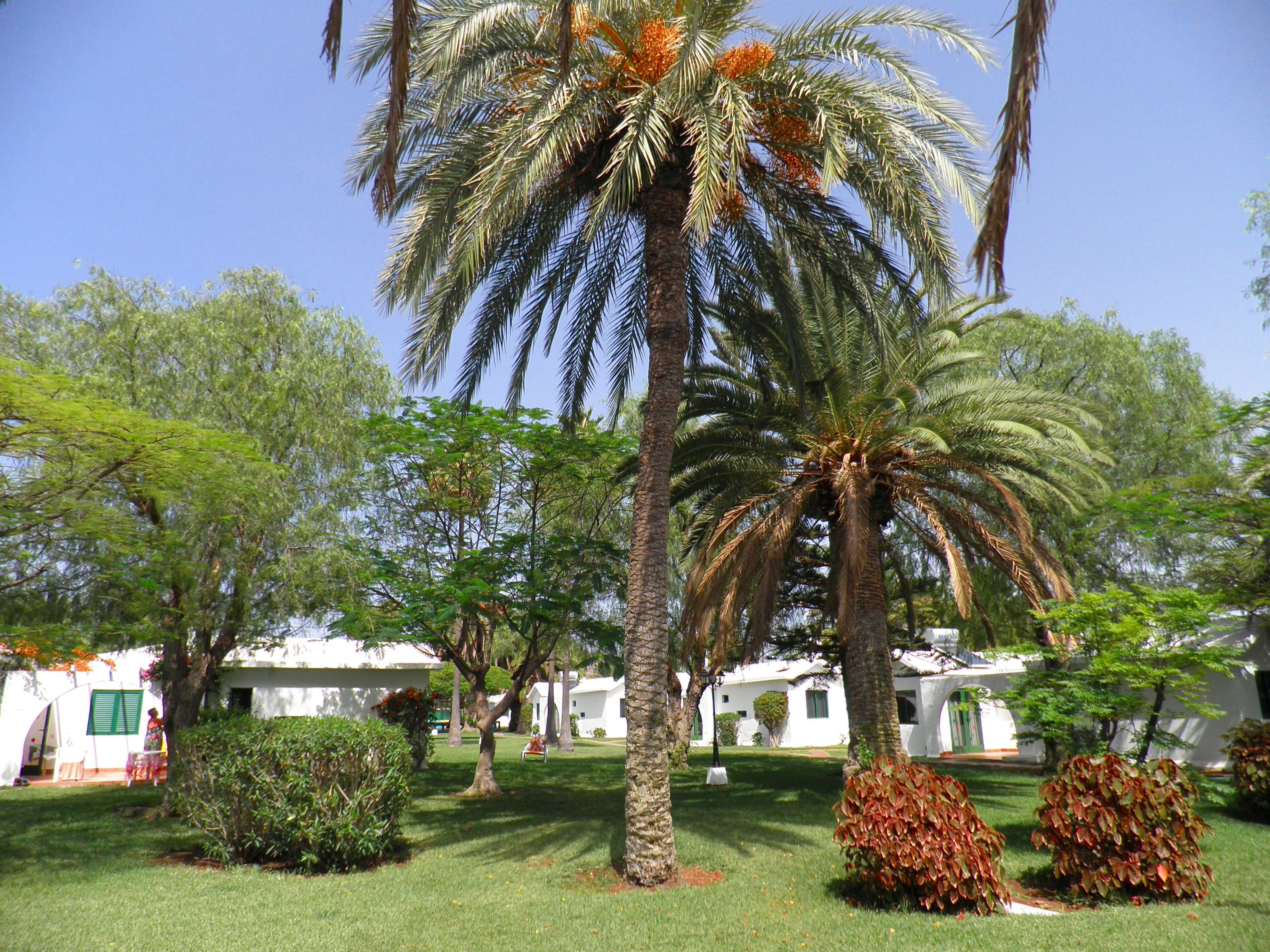 Canary Garden Club Maspalomas  Luaran gambar
